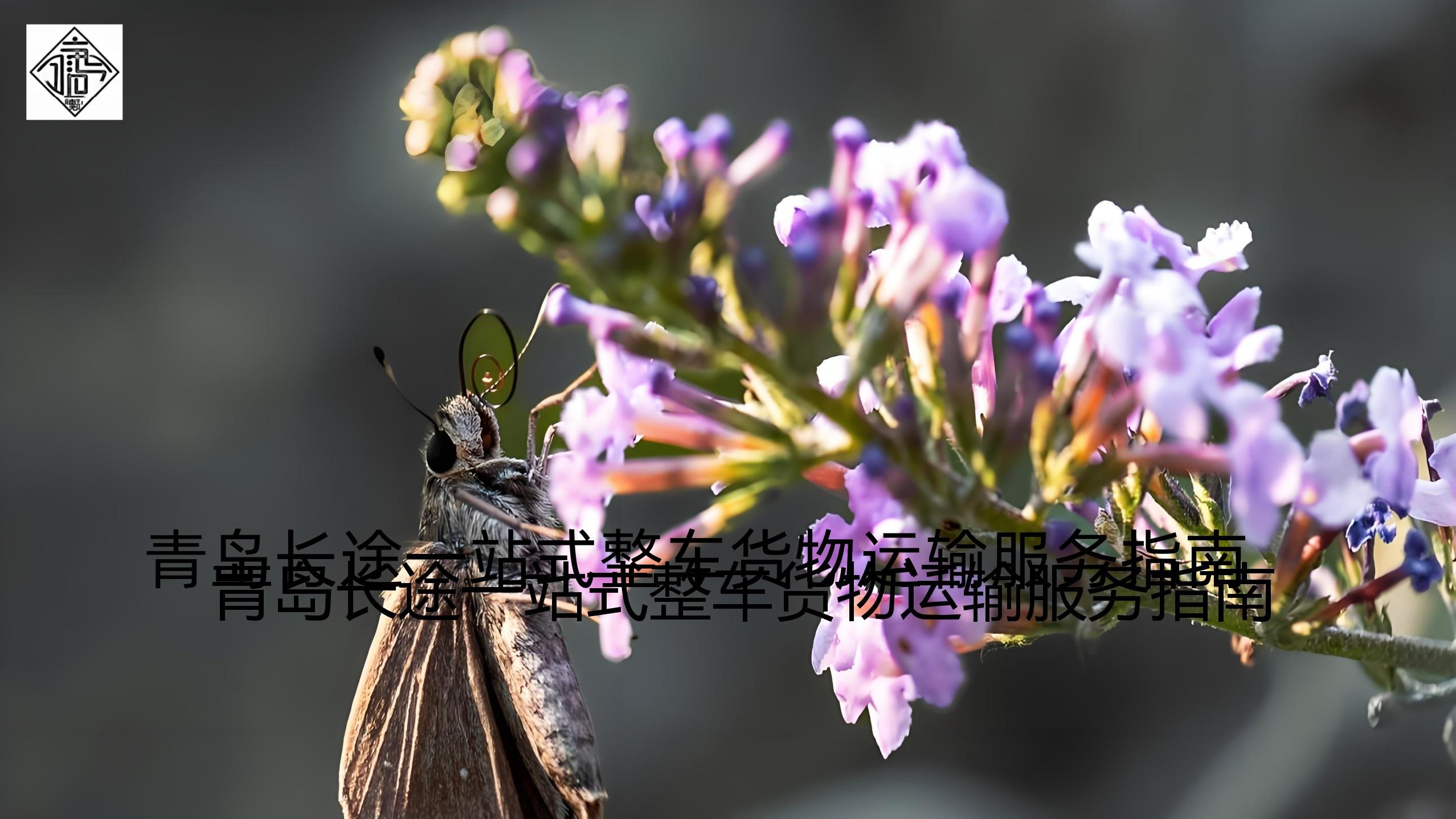 《科技赋能青岛市物流，一站式智能仓储系统提升货物处理效率》吉运通