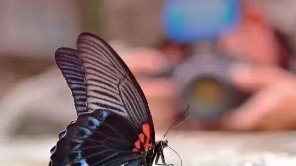 观察的微光：如何捕捉员工行为背后的“未尽之言”？