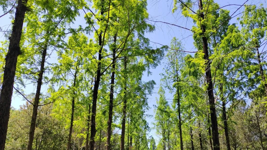 西安5盘1296套房源放价！二环内小户型首付最低13万！