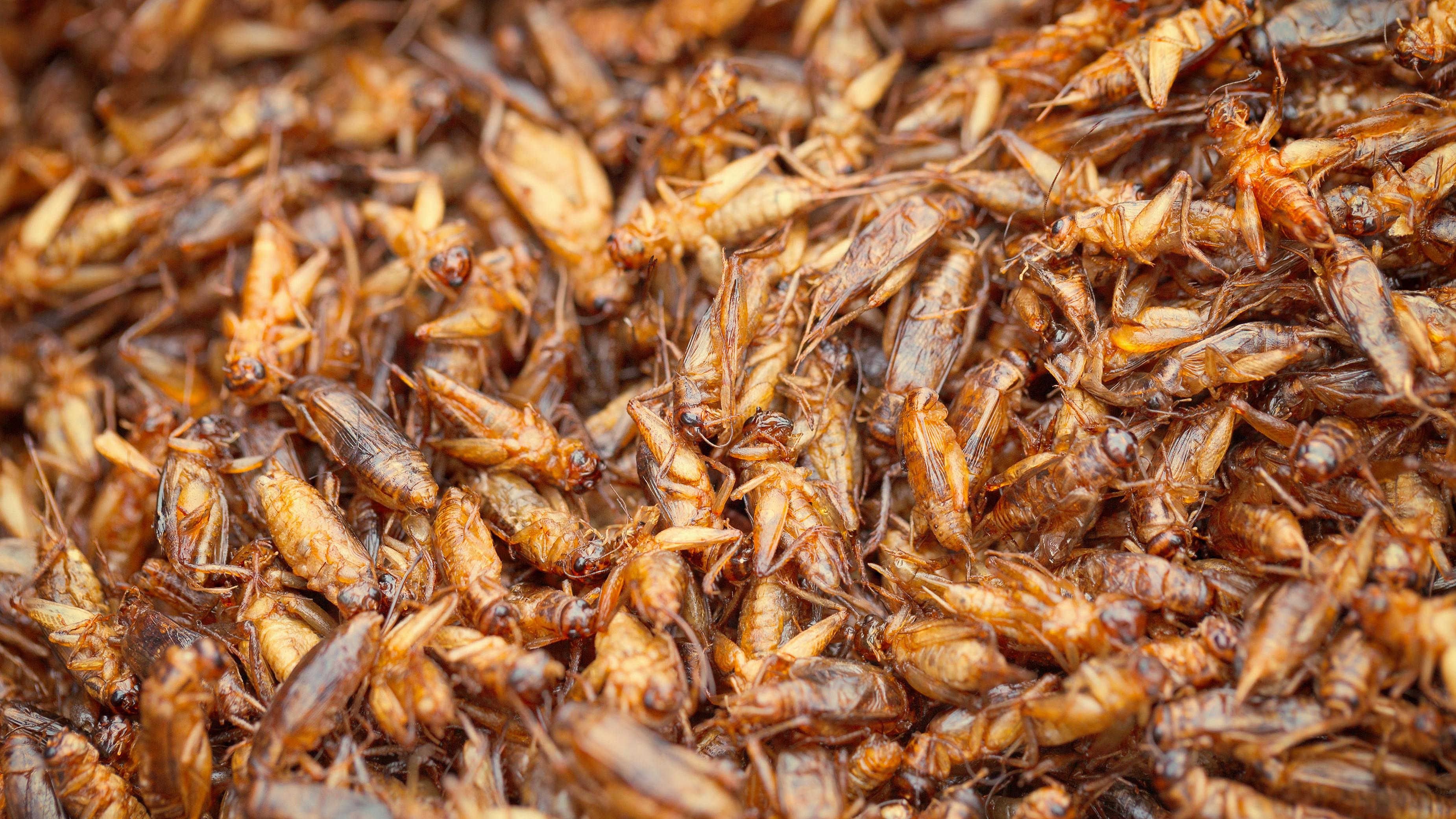 商业用房的“5变3”，真的只是降门槛吗？