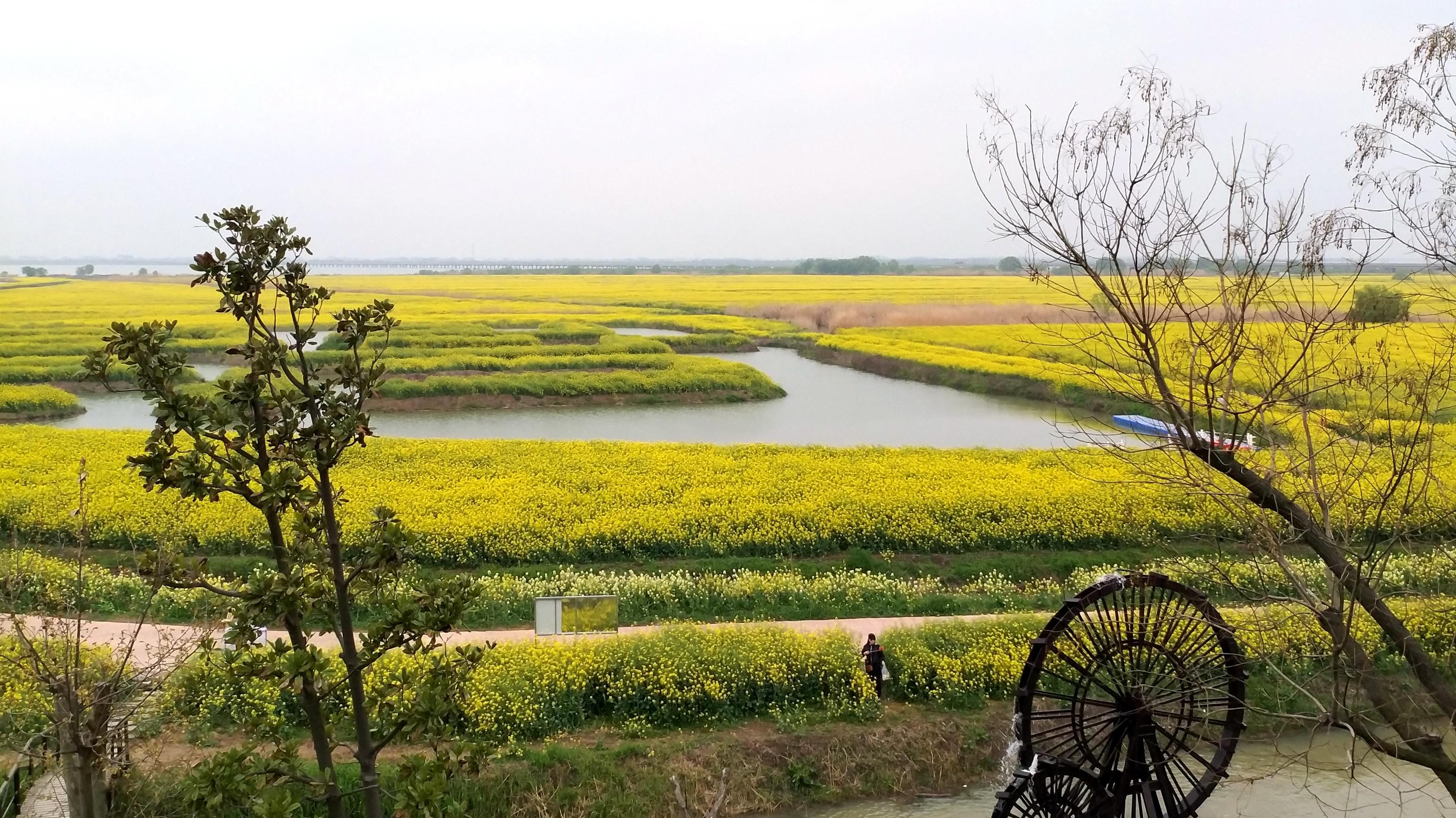 有一种欣赏叫看不厌