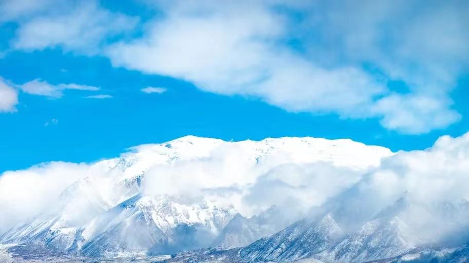 2026年每日通盛及生肖运势1月17日