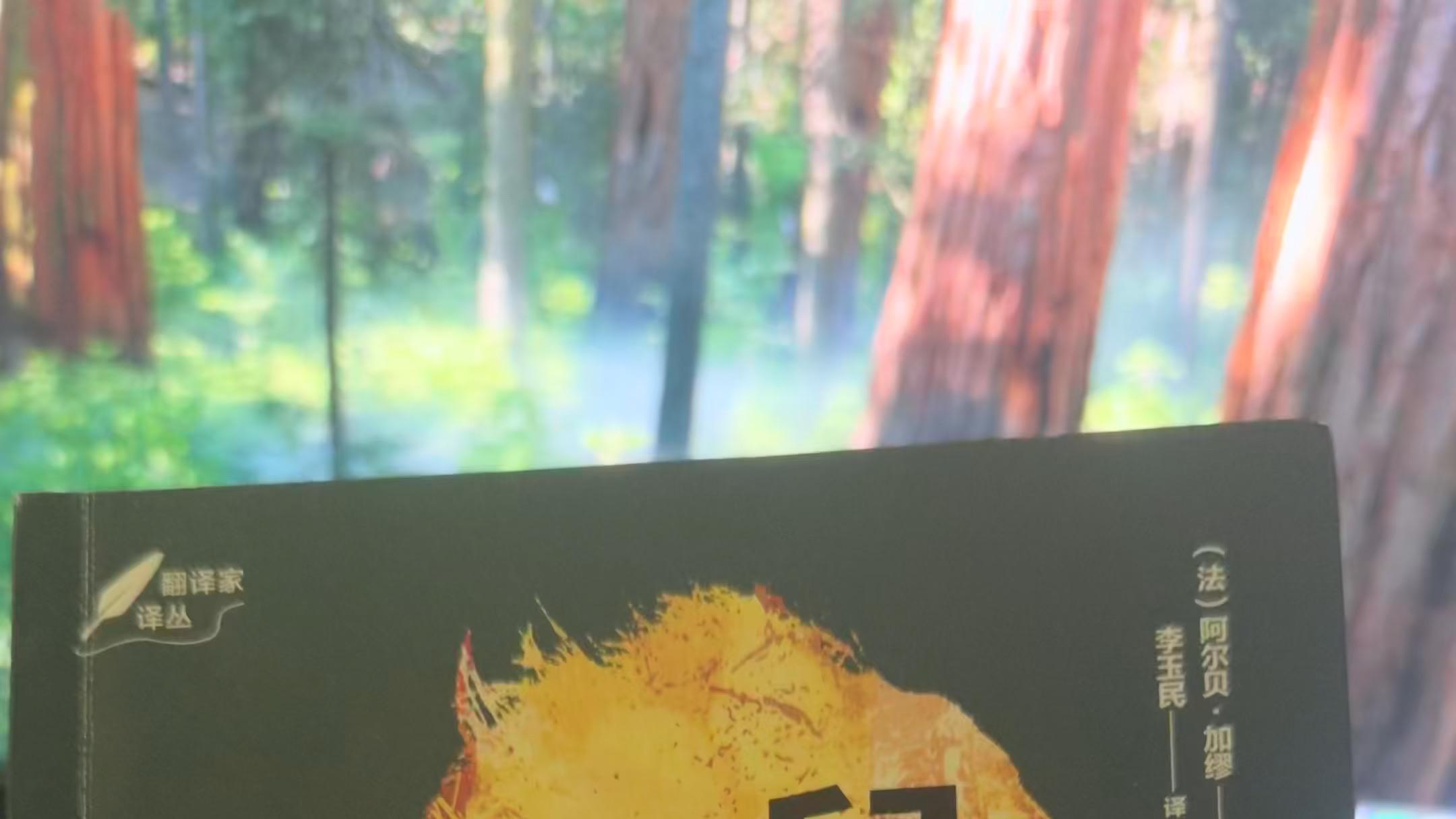 生活的意义是在于直面人生的真相，并从中汲取力量继续前行