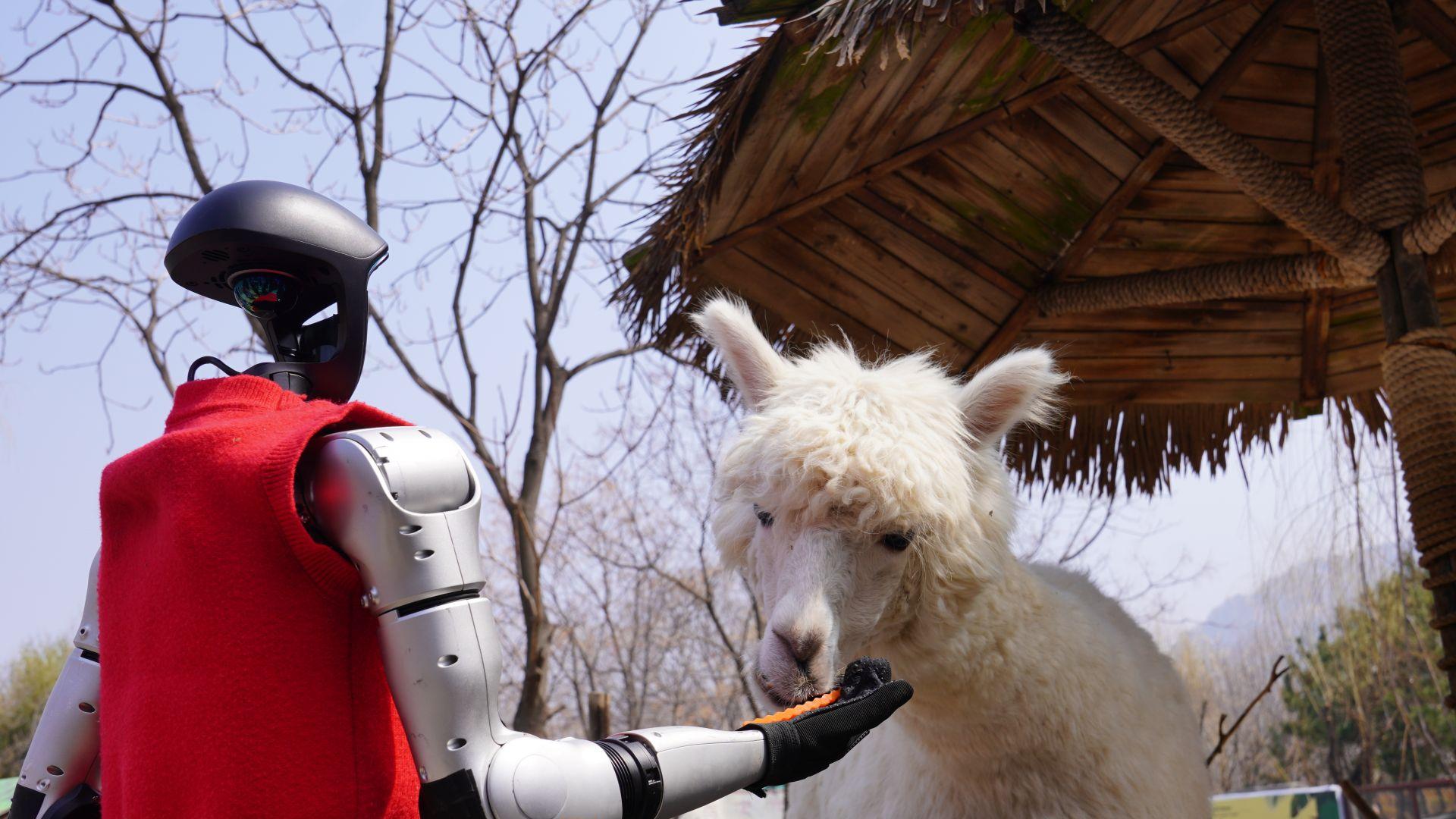 AI科技融青野，春日繁花伴萌生！青岛这个景点开启春日文旅盛宴