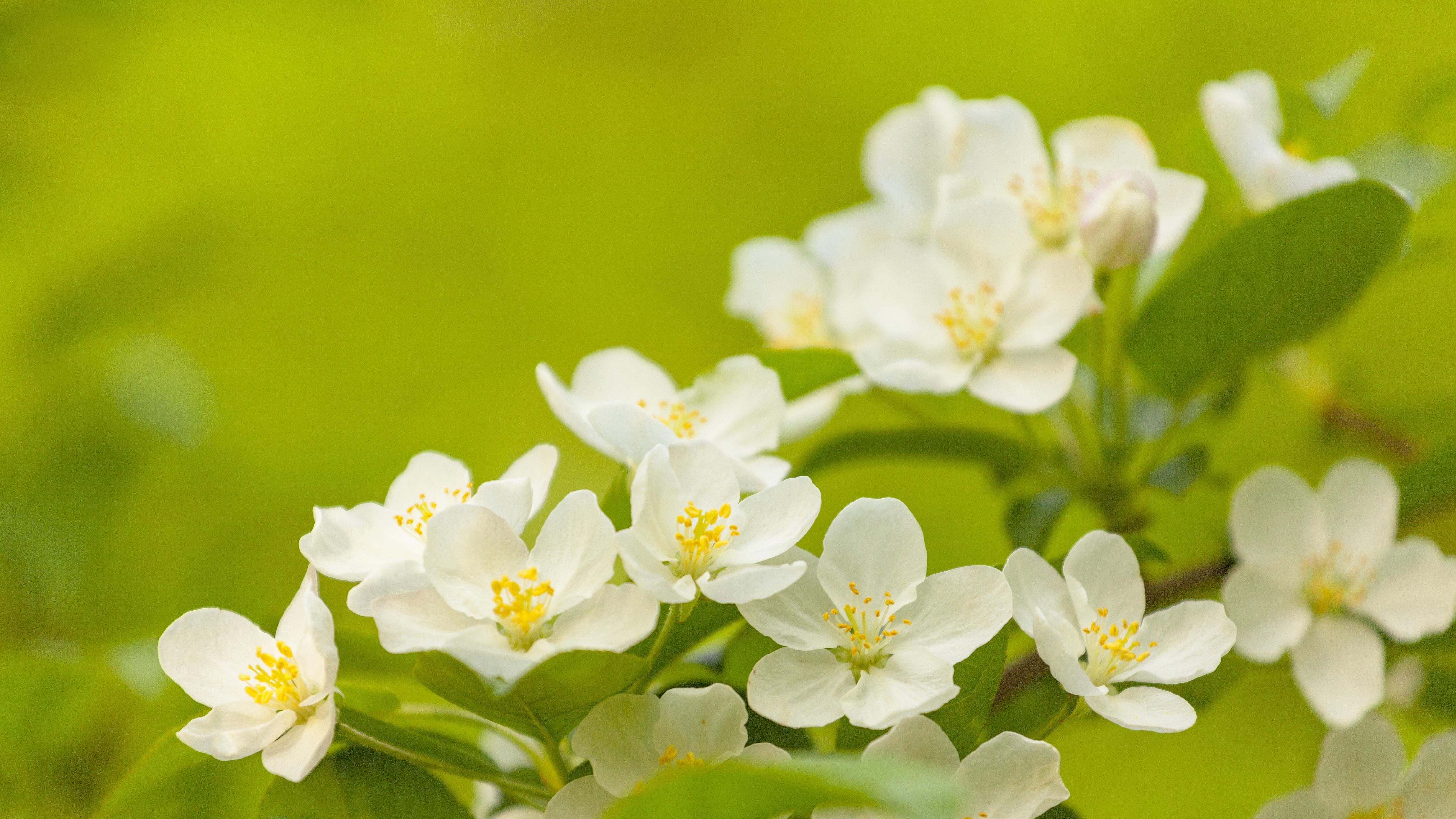 AI导购不推销，它直接“判案”