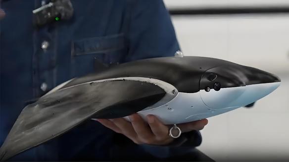 美军担心的事发生了？国产仿生鱼首次实战化亮相，背后信号不简单