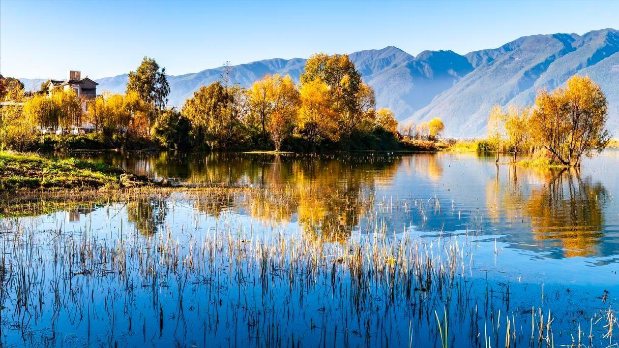 80岁母亲被轮流照顾，却哭着问“我做错啥”，她到底做错了什么？