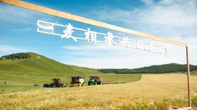 华润啤酒线上渠道领跑，携手头部平台