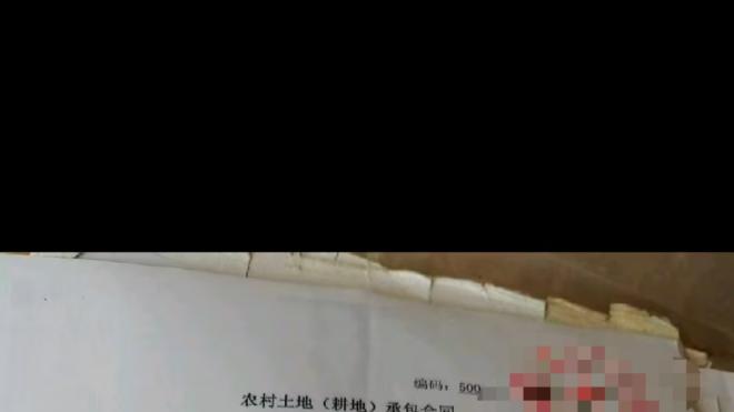 七旬老人八年土地维权路：纠纷背后的争议与期盼