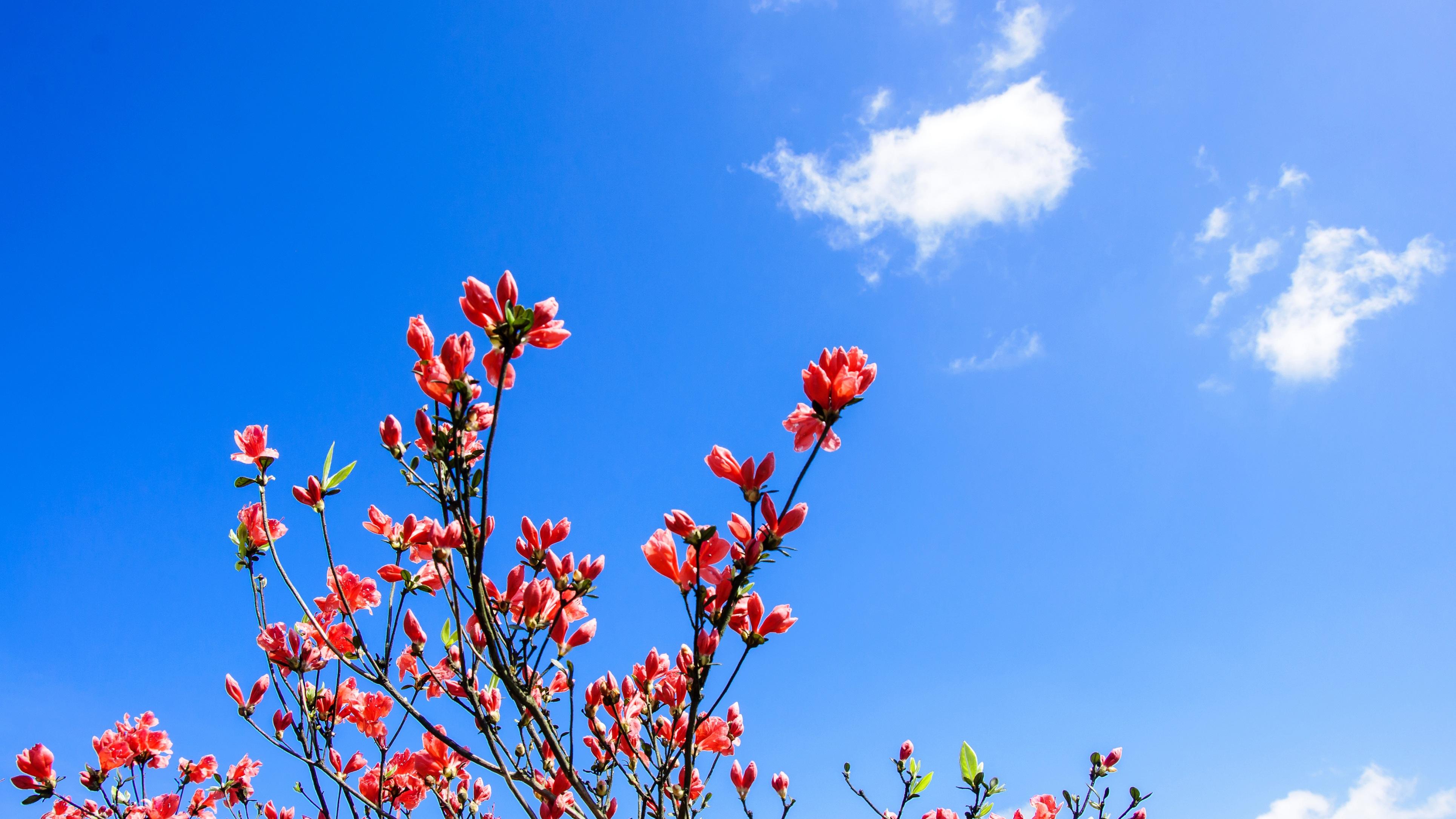 这届智慧消费为什么让人既爽又慌？