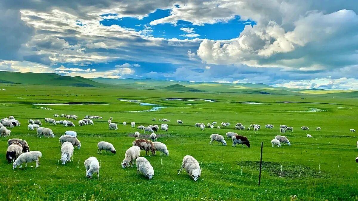 停止“精神内耗”的核心：不纠结、不内耗、不自我消耗