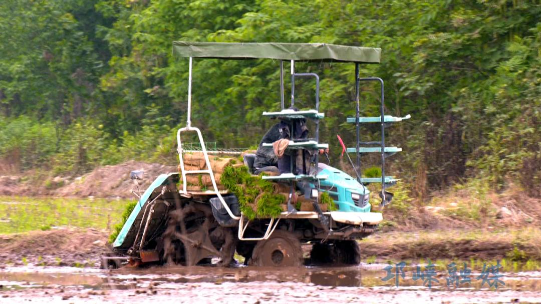 看！邛崃春日农耕画卷