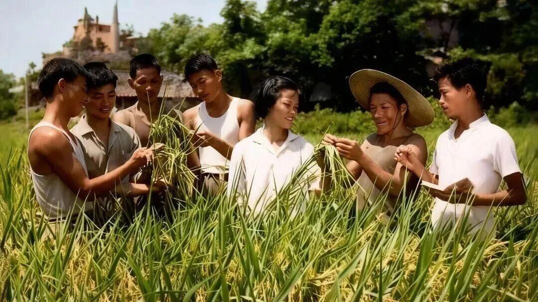 记忆中大集体时代的农业生产队，几多悲情，几多不舍