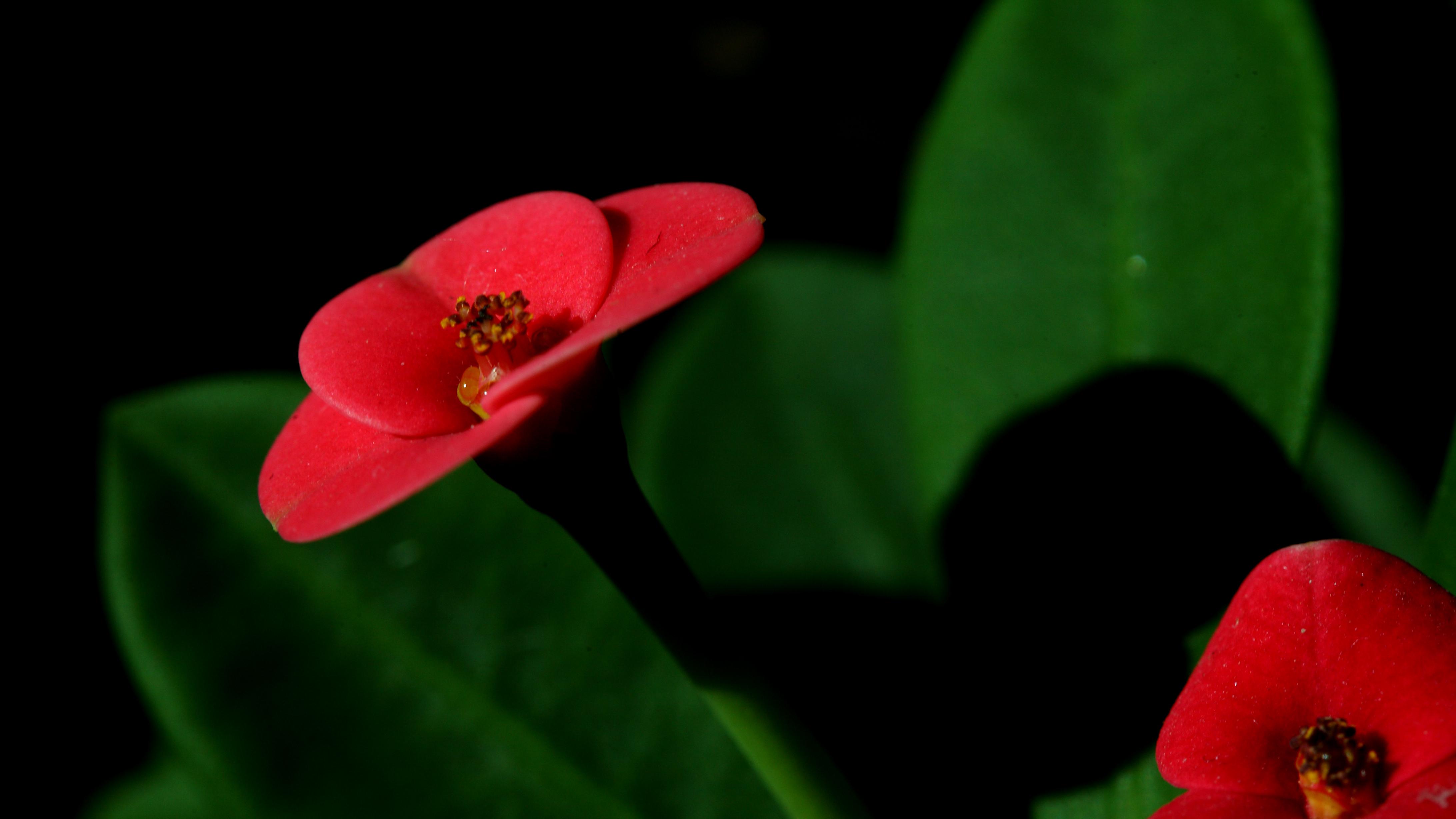 中国制造正在经历一场“看不见”的革命
