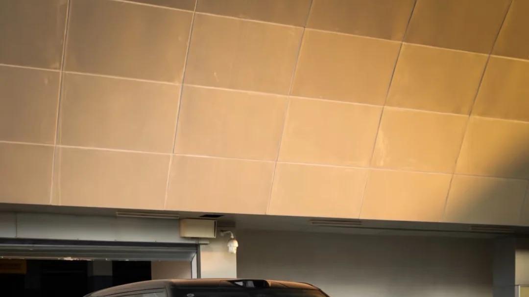 极氪 9X 车主狂喜！双份惊喜太有排面！