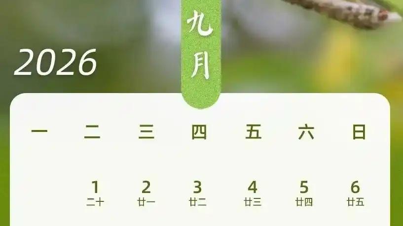 “请3天假休13天”，你能火速安排吗？