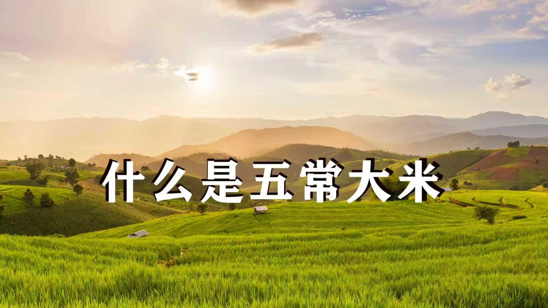 什么是五常大米