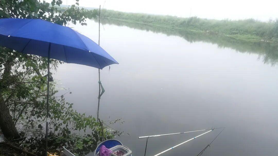 别盲目下竿！寒冬野钓爆护秘诀：三招“透视”找到鱼的藏身深潭