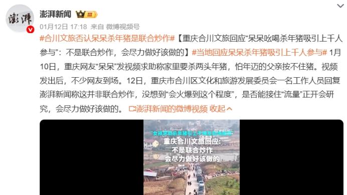 重庆呆呆的一头年猪，连接起中国乡村的两端