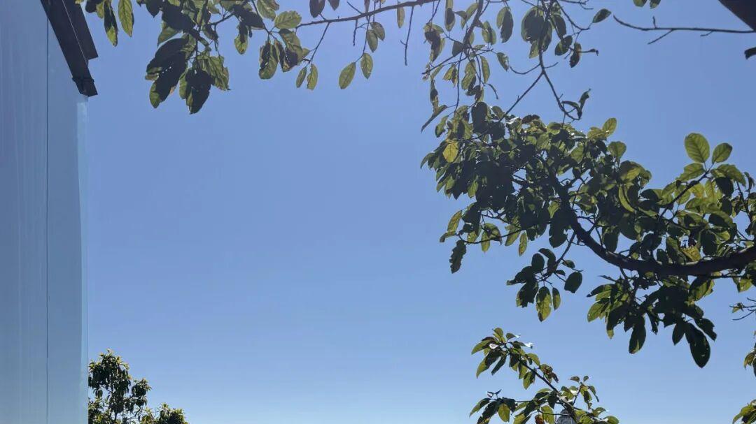 这届酒店投资人，正在雨露均沾