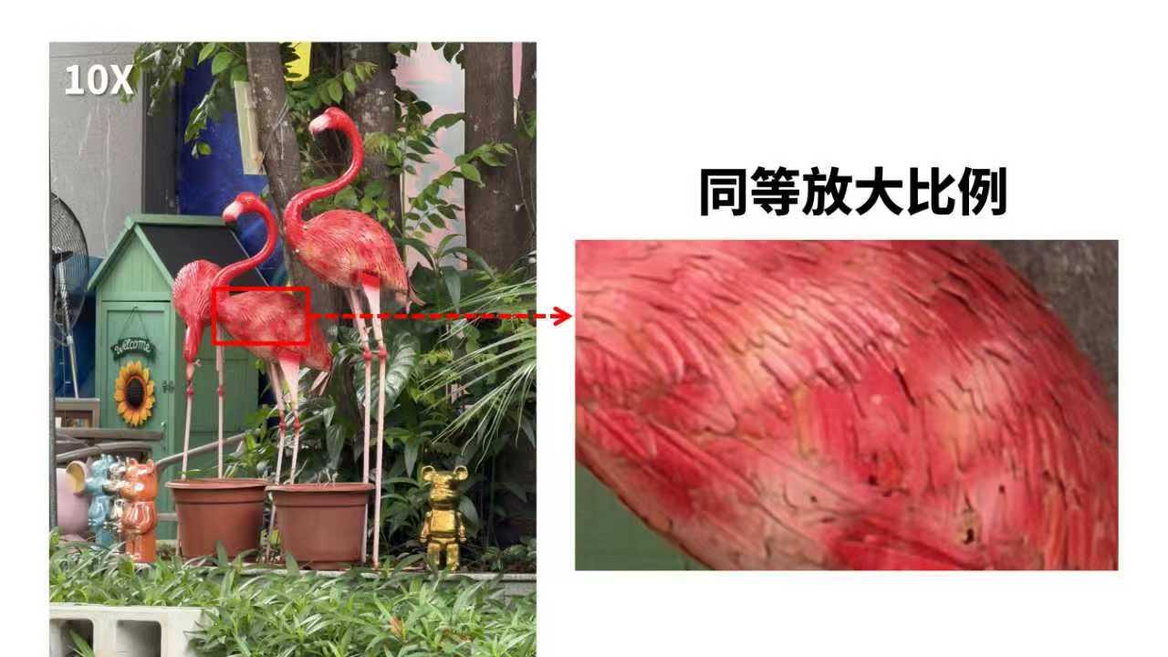 4台超大杯10倍变焦实拍，演唱会带哪台？