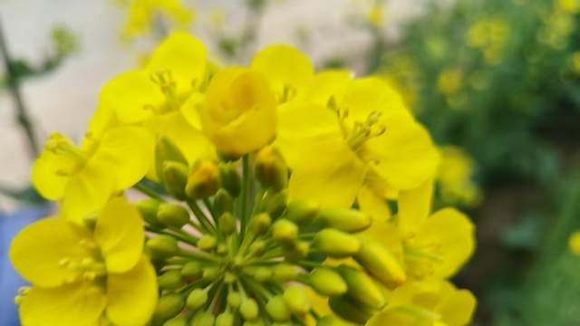 家长越付出孩子越疏远？青春期亲子关系破裂，往往是对孩子太好