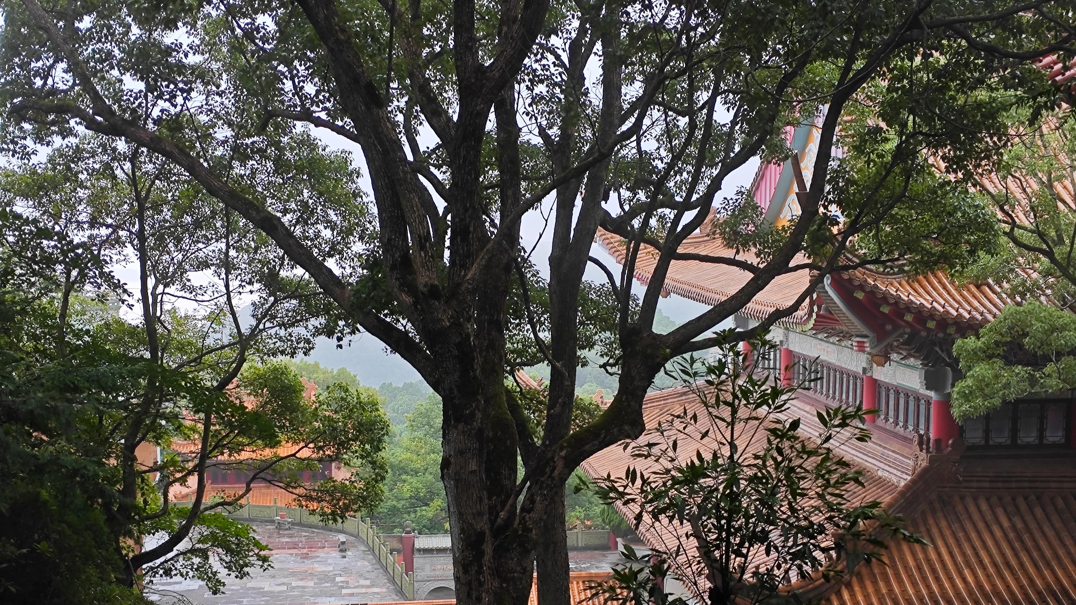 读得懂勘不破的“好了歌”与“好了歌注”