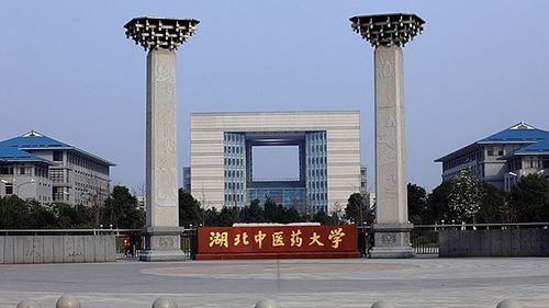 湖北中医药大学高等学历继续教育2026年招生简章