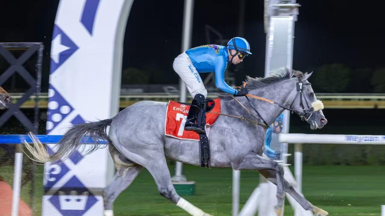 广州重启停摆了27年的赛马运动，背后藏着怎样的产业谋略？