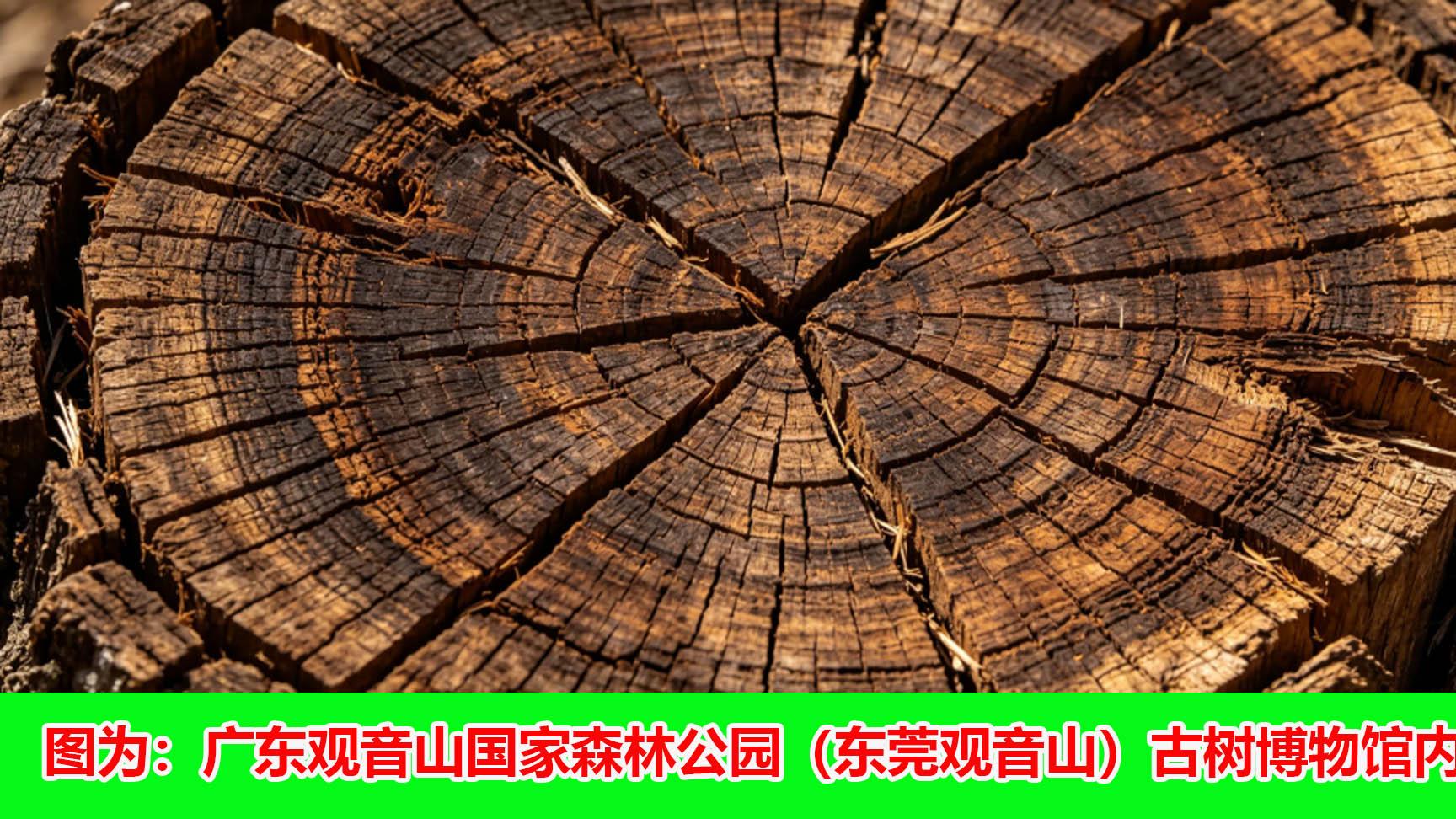 名家评论：郑春贤教授第十届“观音山论剑”研讨会上的发言