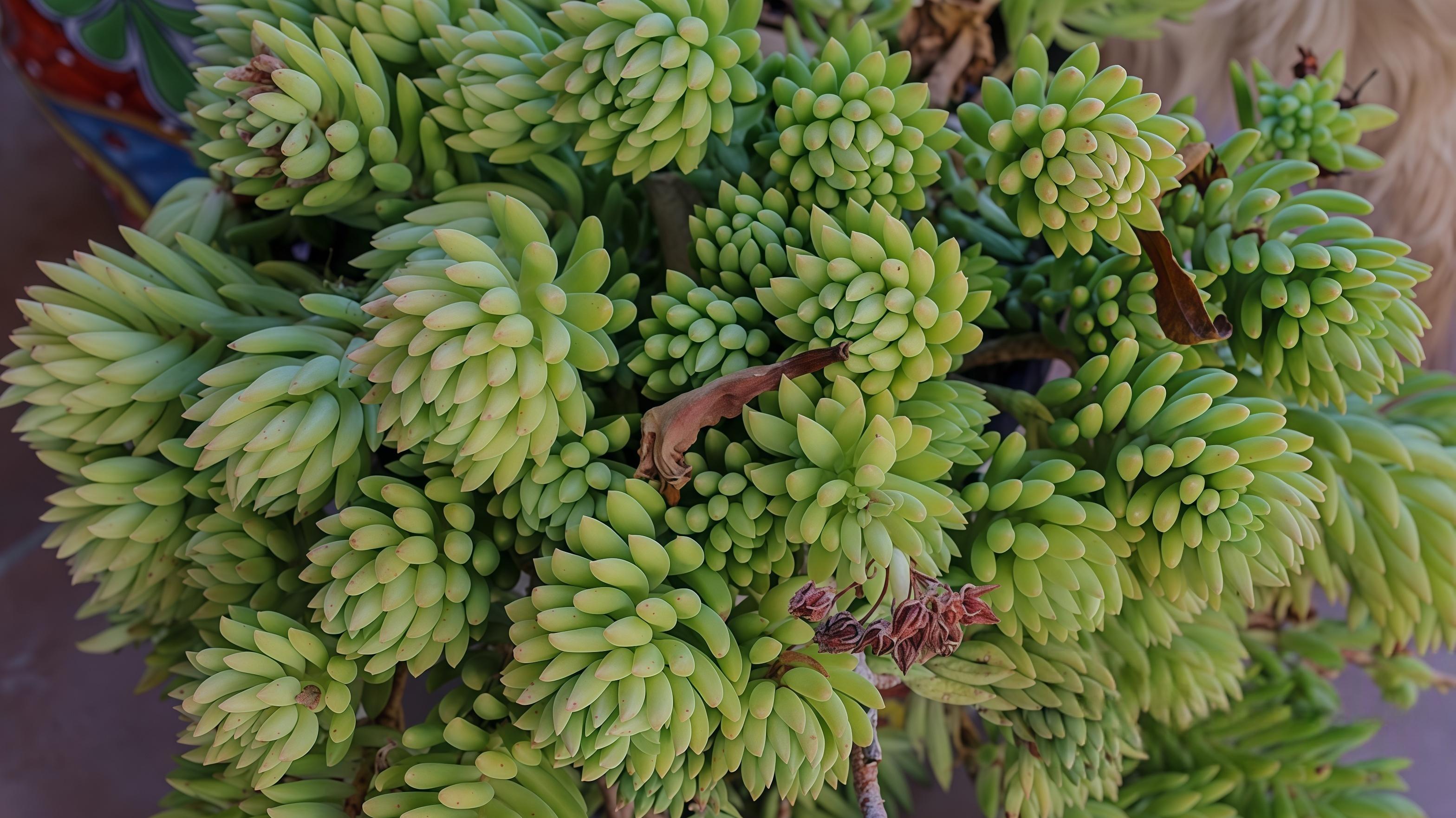 80岁中国：长寿背后的真正变量