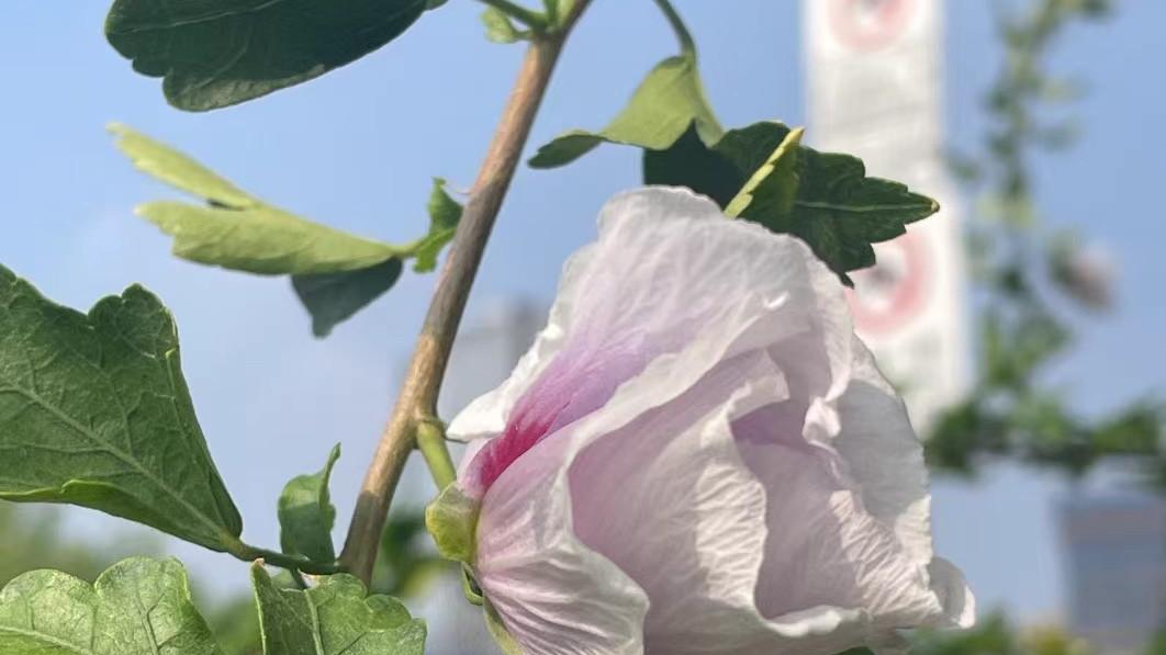 一个人真正的强大，从不期待任何人开始