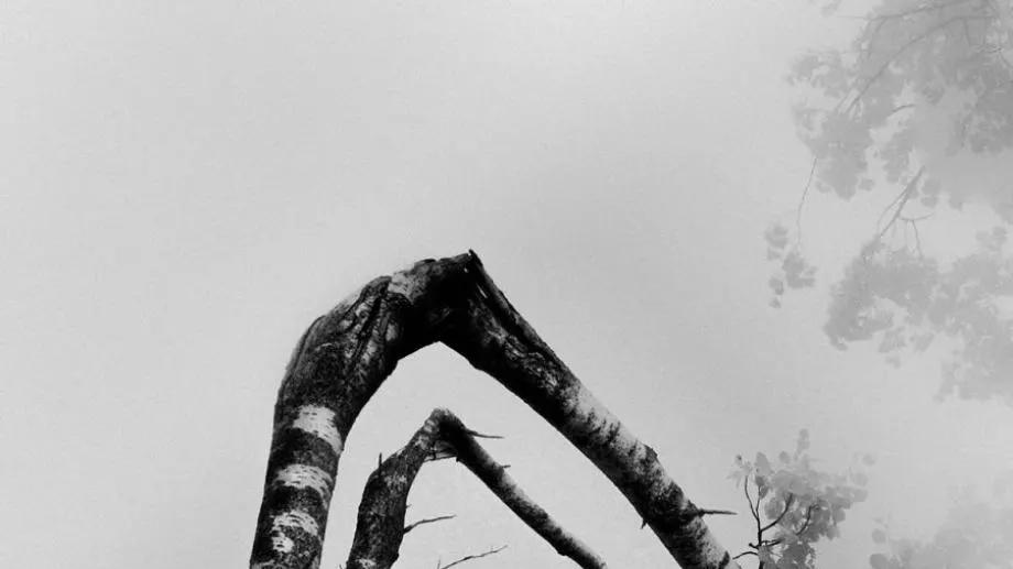 一个40岁的男人没老婆，还需要奋斗吗?