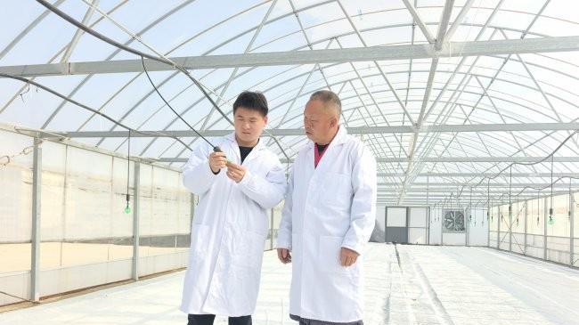 河南汝阳：初春时节育苗忙 铆足干劲育壮苗