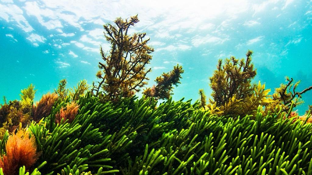 大年初一2.1亿人次在路上，大家坐不住？