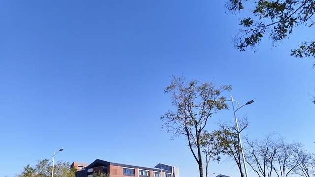 激活初高中孩子内驱力，不是催促和管教，而是唤醒重启多巴胺体验