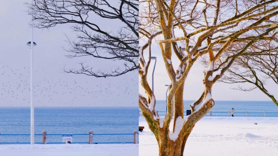 山东日照旅行，美食探店指南