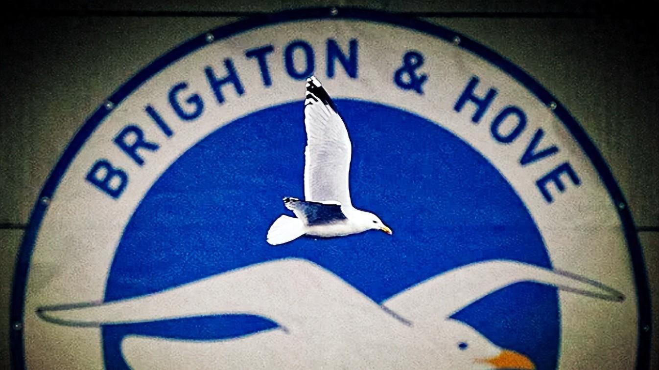 12轮1胜，直奔降级区！