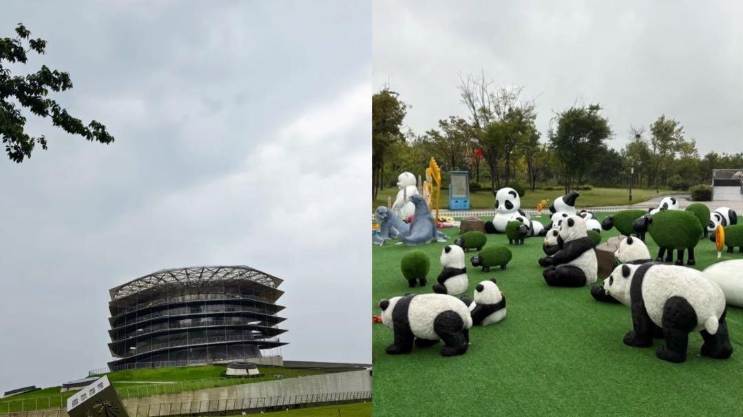 冬季旅游，日照景点打卡详细攻略