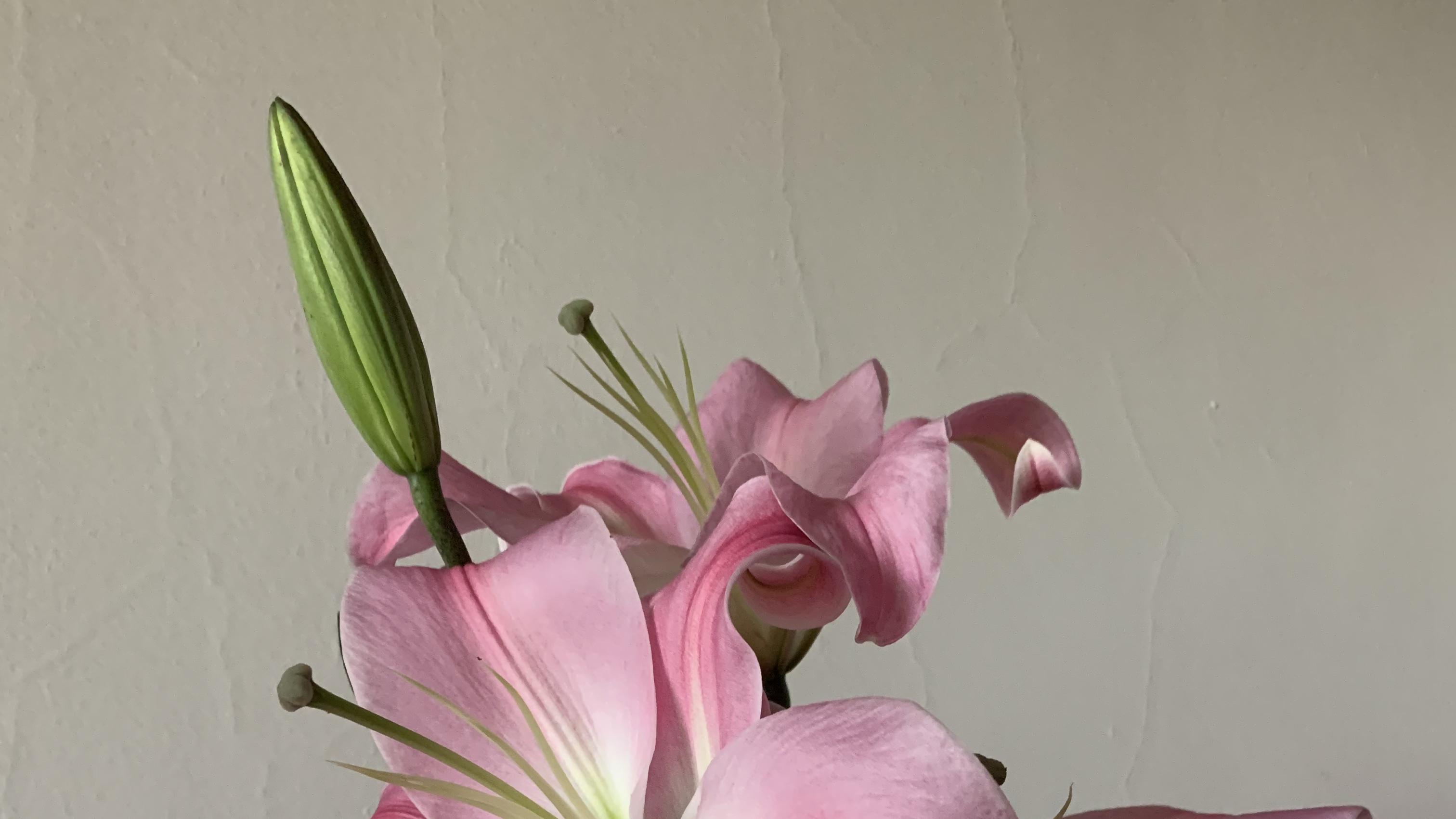 容易耍大牌面相