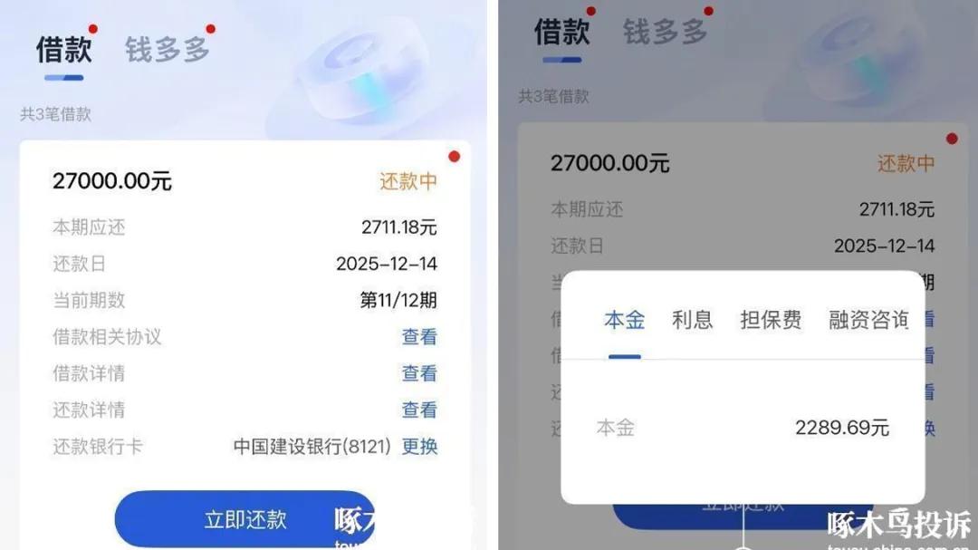 恒小花换壳四年 违规乱象难除