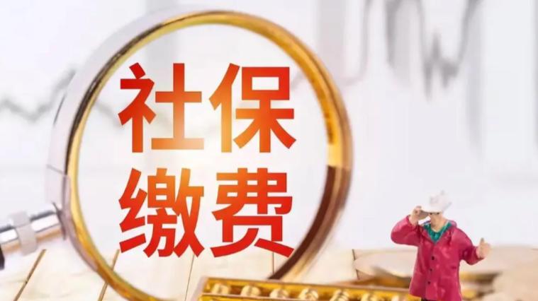 解读稽核判定规则，知晓社保代缴被查处的后果