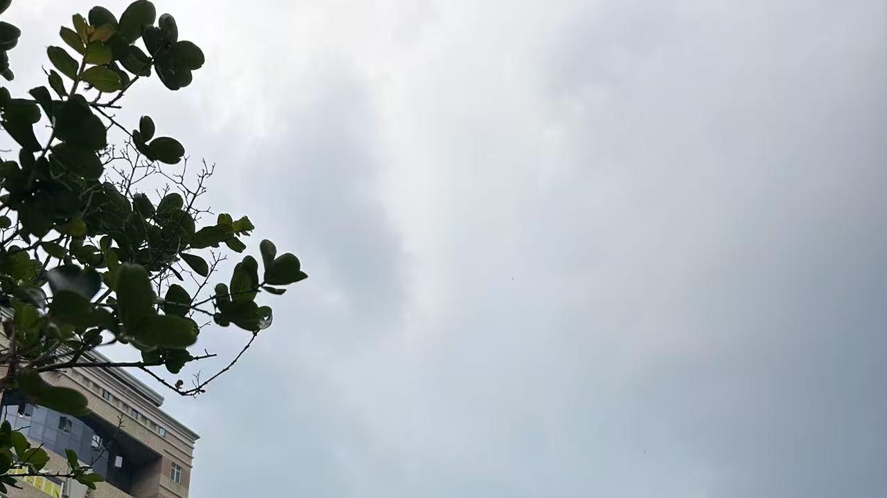 多数人做的事情不一定是对的