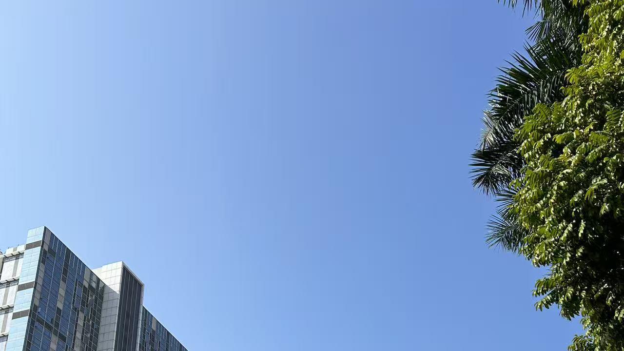 一门稀缺技能到底有多吃香呢？