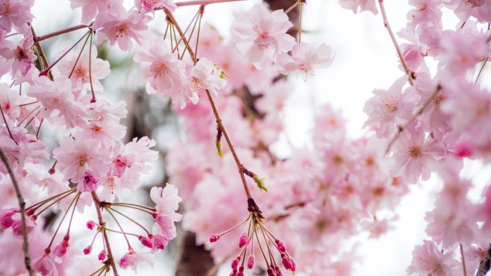不顾儿媳不满跑去给女儿带娃6年，生病后，女儿让我找我儿子要钱