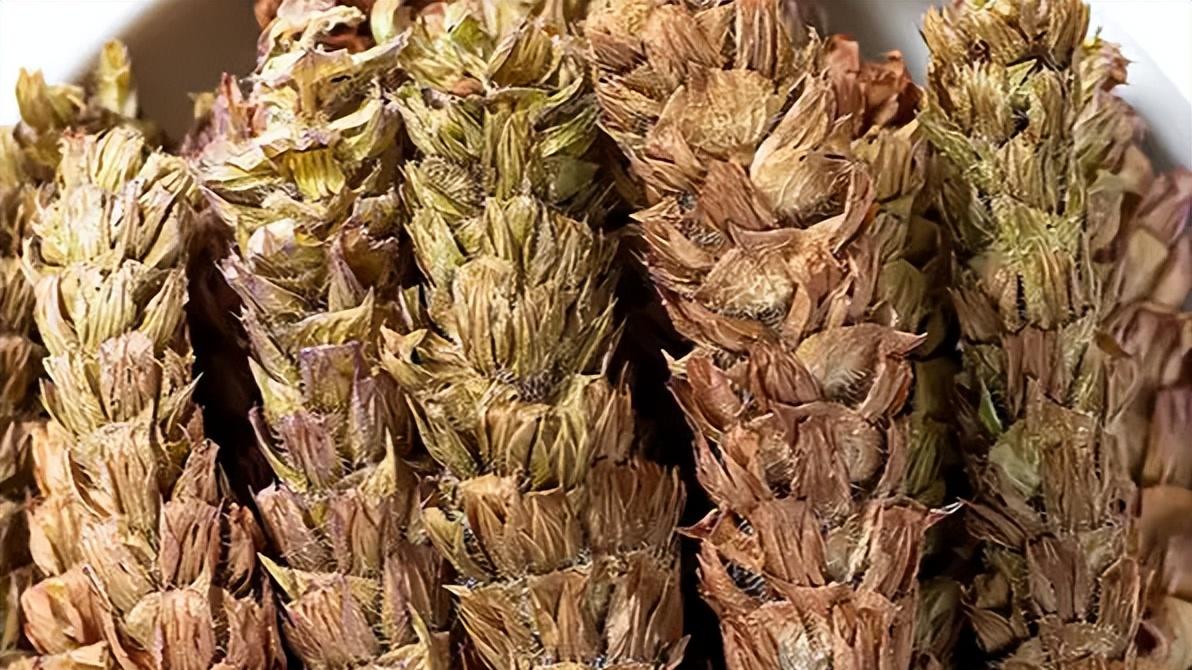 清肝明目，散结消肿——夏枯草