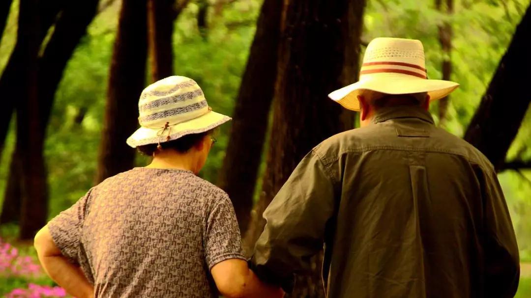 伺候过不少有钱老人才发现：晚年的底气，除了要有存款和房子，还要有这五样东西才行