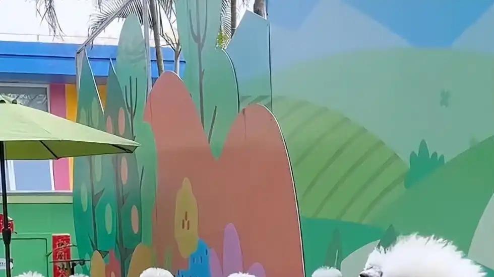 上海95后女生月付1.2万让6月萨摩耶上“狗狗幼儿园”