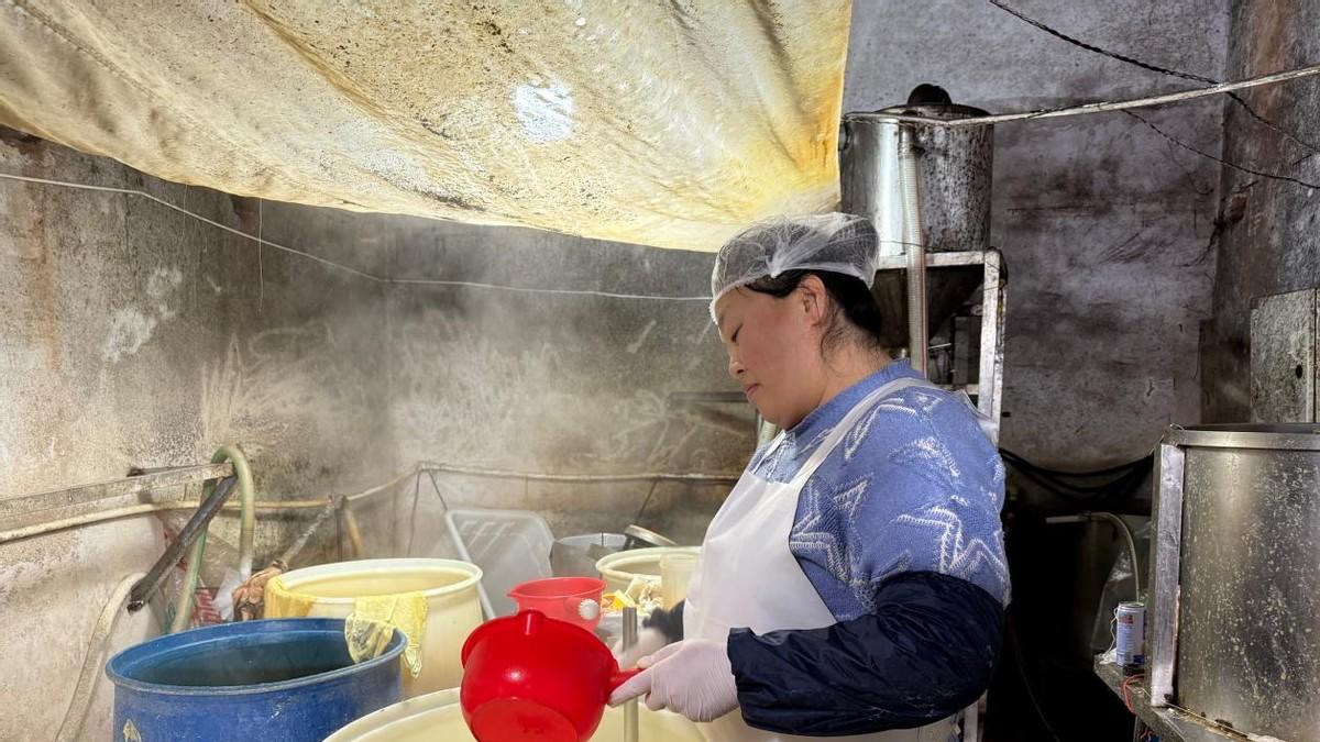 走进王记豆腐：传统卤水工艺如何“点”活一门老手艺