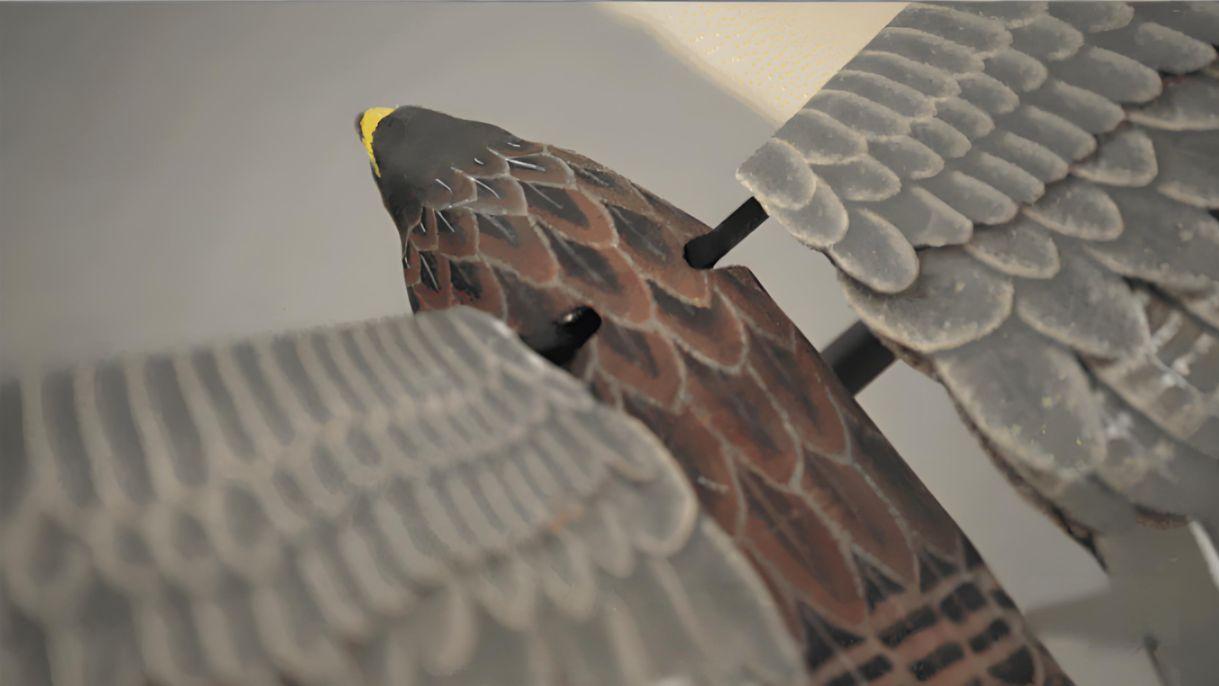 能混进鸟群的"间谍"？中国扑翼无人机数据曝光，每一项都是突破